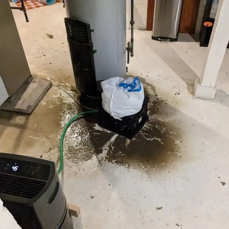 Sewage Backup Cleanup Service in Moro, OR